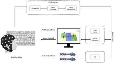 EEG-Based Brain Network Analysis of Chronic Stroke Patients After BCI Rehabilitation Training